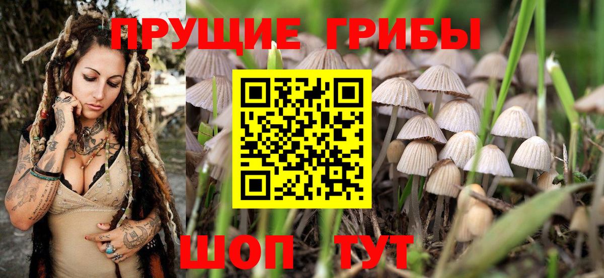 Гурьевск  Галлюциногенные грибы Cubensis  Вход с VPN  Псилоцибиновые грибы мухоморы 